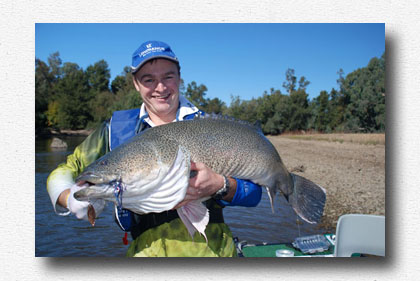 Ashley Barber 112cm Cod
